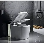 a smart toilet
